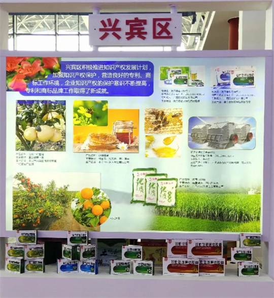 双蚁药业与桂林三金等名企亮相第九届广西发明创造成果展览交易会