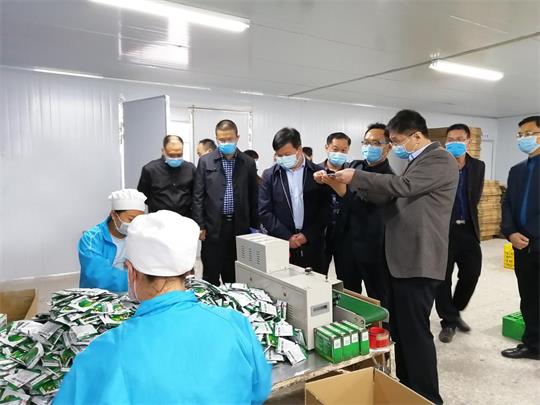 农毅部长、杨添才书记到双蚁药业检查指导疫情防控和复工复产工作
