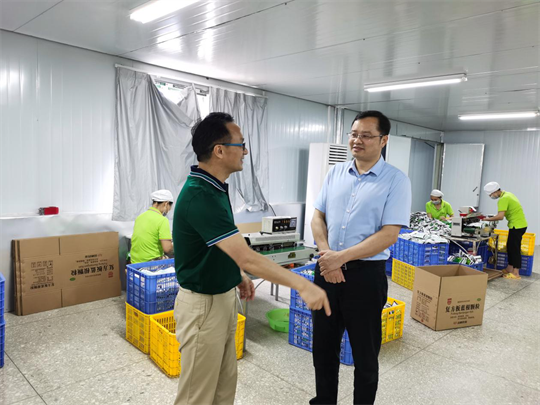 来宾市交通运输局局长韦猛到双蚁药业指导工作，助推企业发展